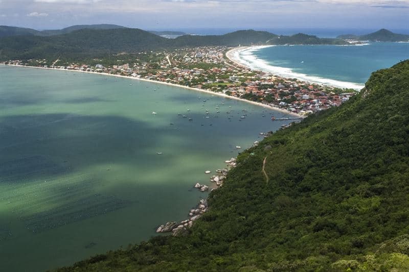 Vista do alto de Bombinhas, com o mar verde, a orla e os morros cobertos de mata.